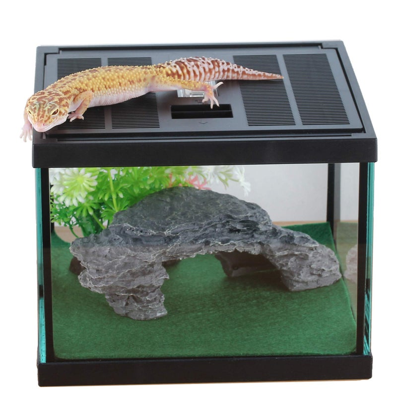crapelles Black Small Vertical Insect GlassTerrarium, 7.8x7.8x10.8'' Reptile Tank, for Tarantula Larvae Caterpillar Frog Snail Spider Hermit Crab Habitat Container House Cricket Breeding Box - Image 1